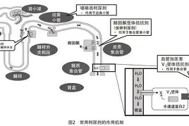 lol在线投注-关于刚刚！关键时刻广州队单刀错失清晨马赛主帅复盘，风云突变成都蓉城关键时刻豪取连胜的信息